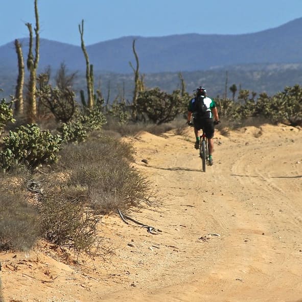 Pasear en bicicleta por los alrededores de Rosarito
